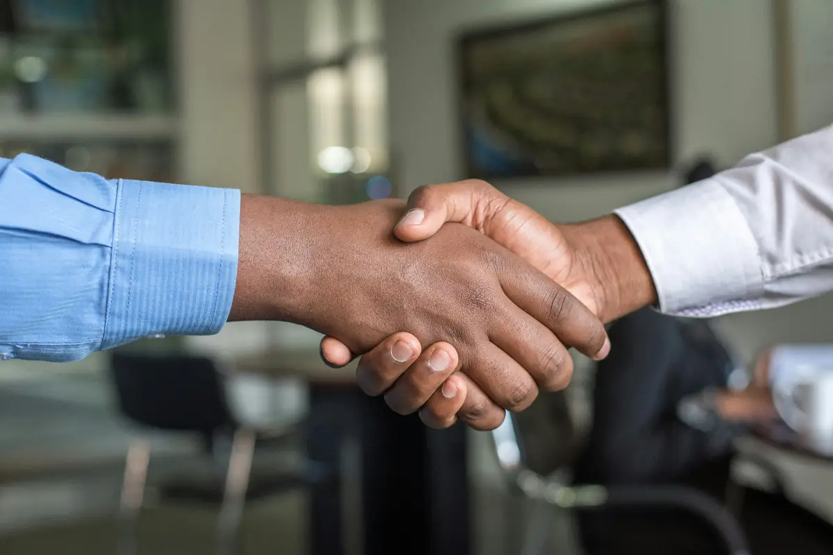 African professionals